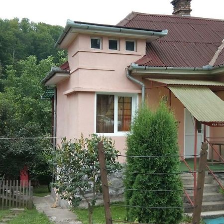 Vila Tilda Hotel Sovata Exterior photo